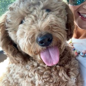 Meet your Posher, Kelsey